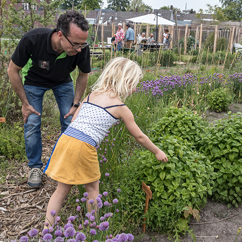 Spelen, als kind, weet je nog…