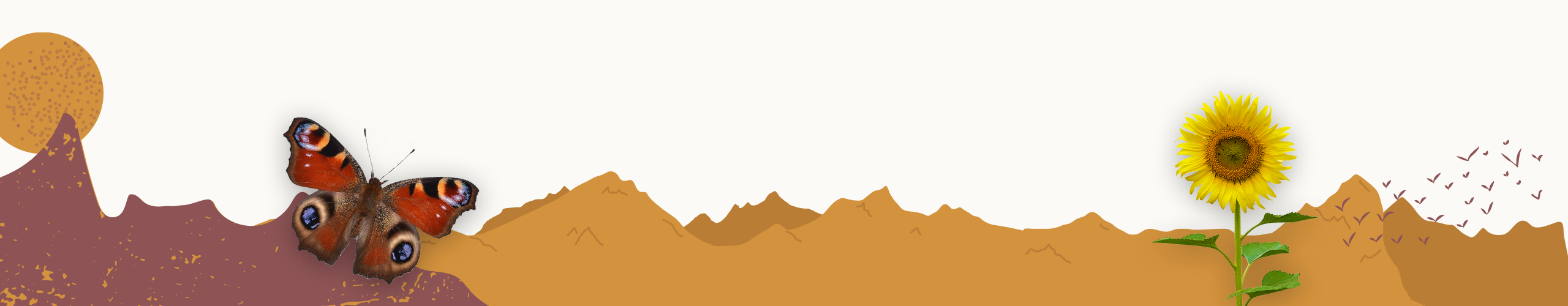 educatie natuur footer