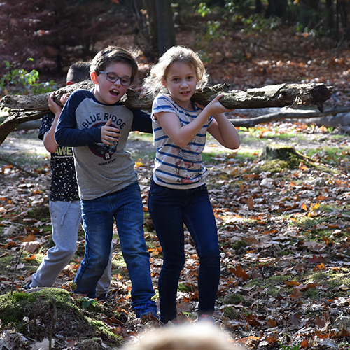 kinderen school natuurles