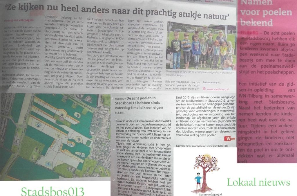 Publicaties diverse media