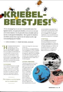 Artikel Kinderopvangtotaal