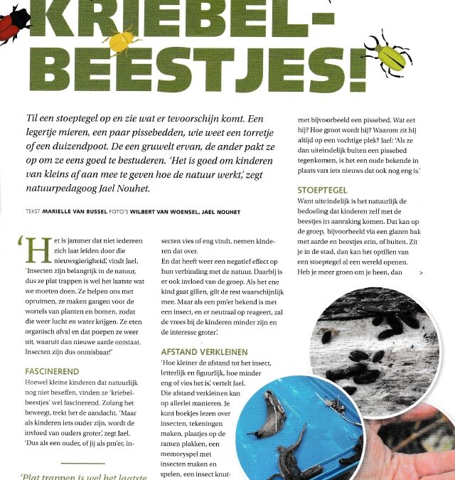 Artikel vakblad Kinderopvangtotaal